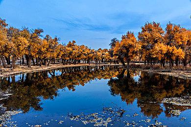 在索尼下架《对马岛之鬼》PC版后 玩家呼吁抵制这款游戏